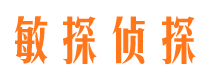 雁江侦探公司